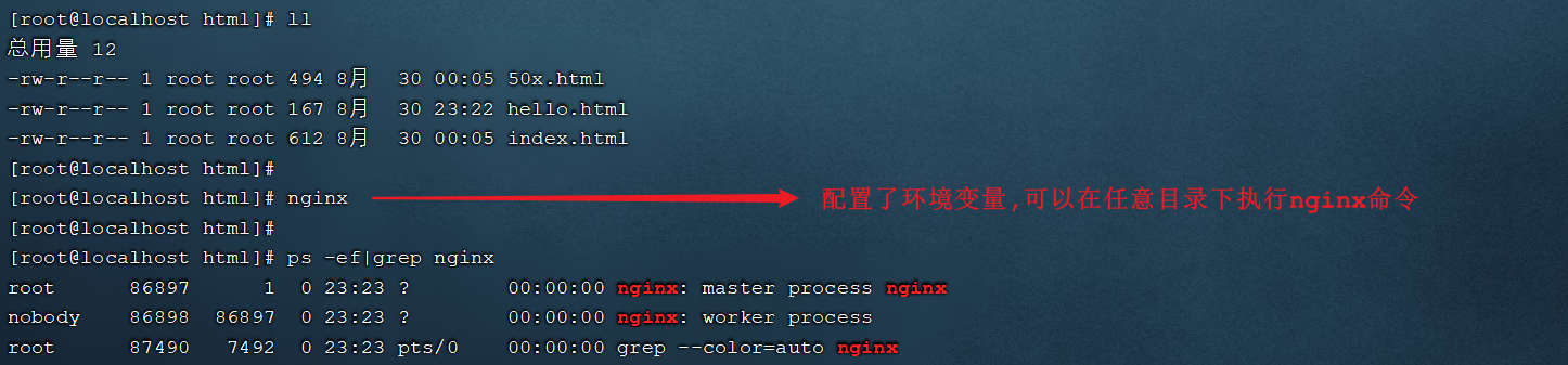 image-20210830232419462