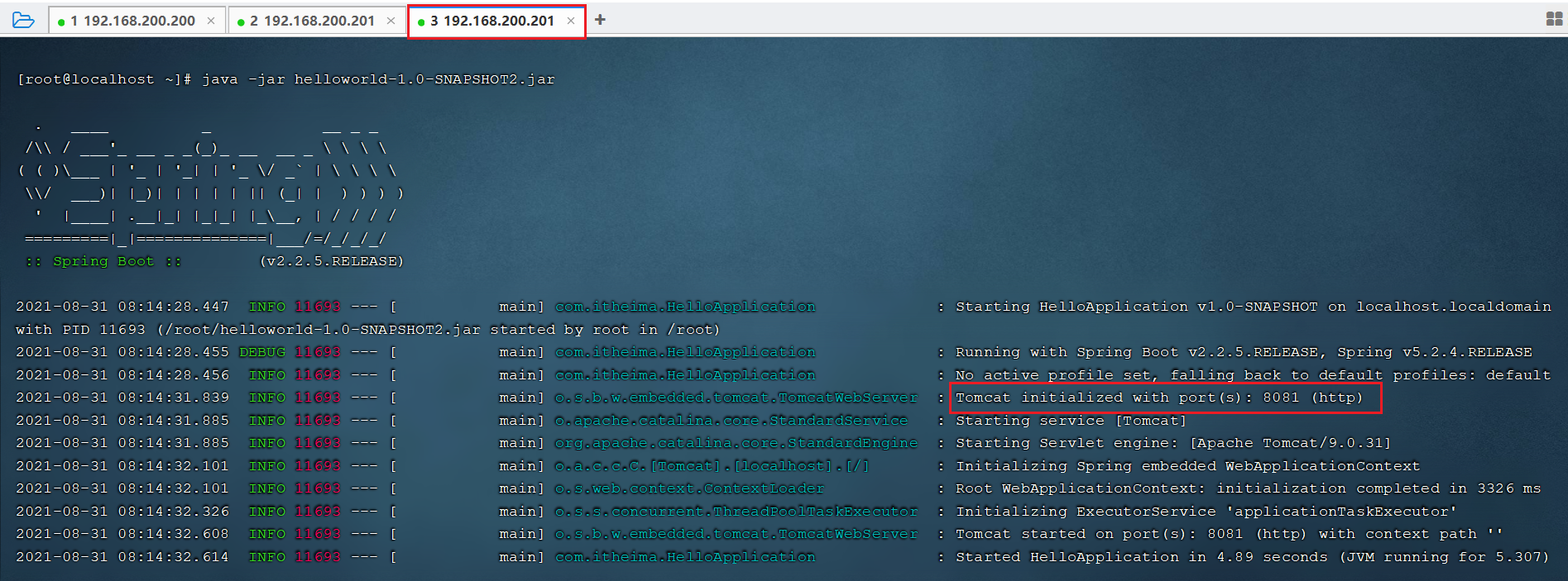 image-20210831081544582